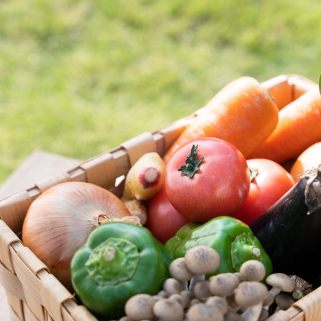 信頼性の高い商材提案と最適な仕入れ支援